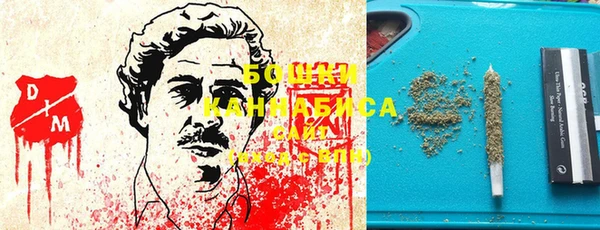 дмт Белокуриха