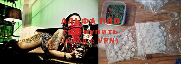 дмт Белокуриха