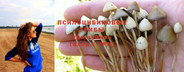 спиды Приозерск