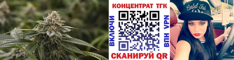 купить Павловская ТГК концентрат