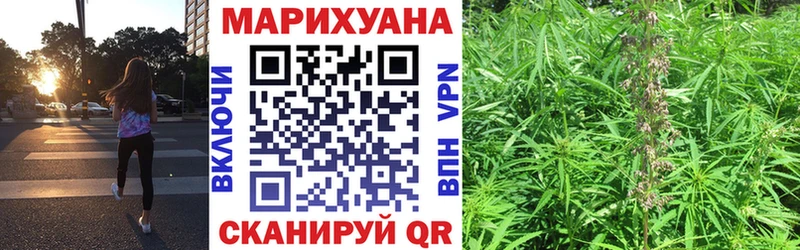 Каннабис планчик  Павловская 